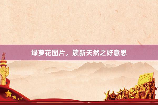 绿萝花图片，簇新天然之好意思