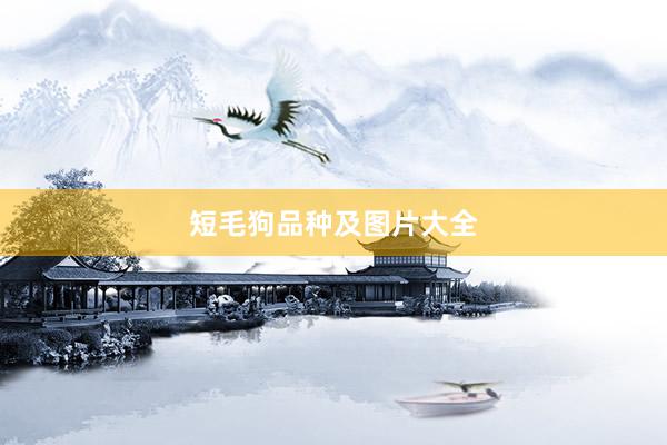 短毛狗品种及图片大全